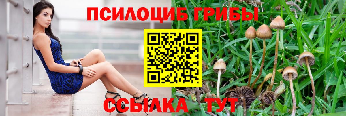 Псилоцибиновые грибы мухоморы Камышлов